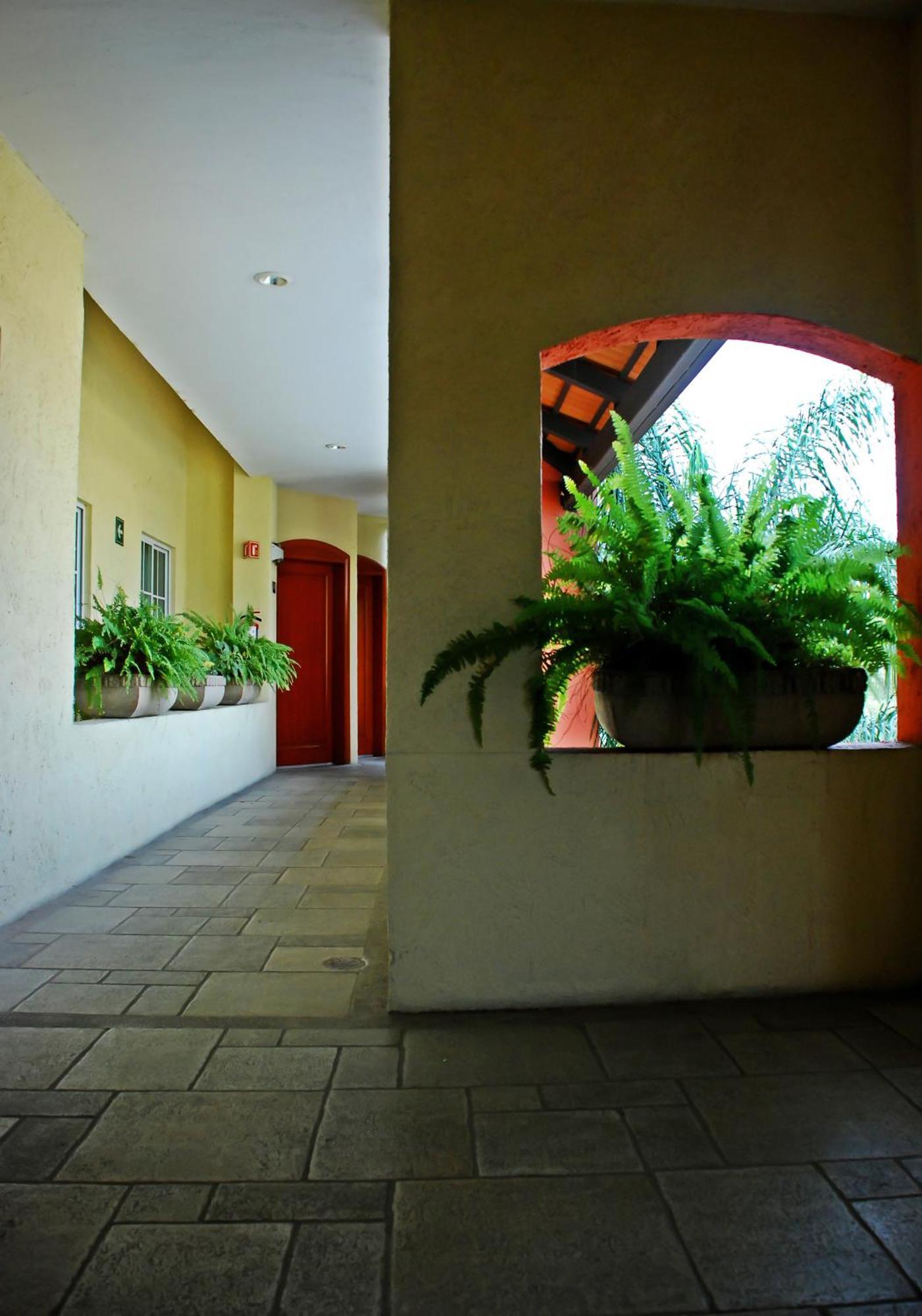 Aurea Hotel And Suites Zapopan Bagian luar foto